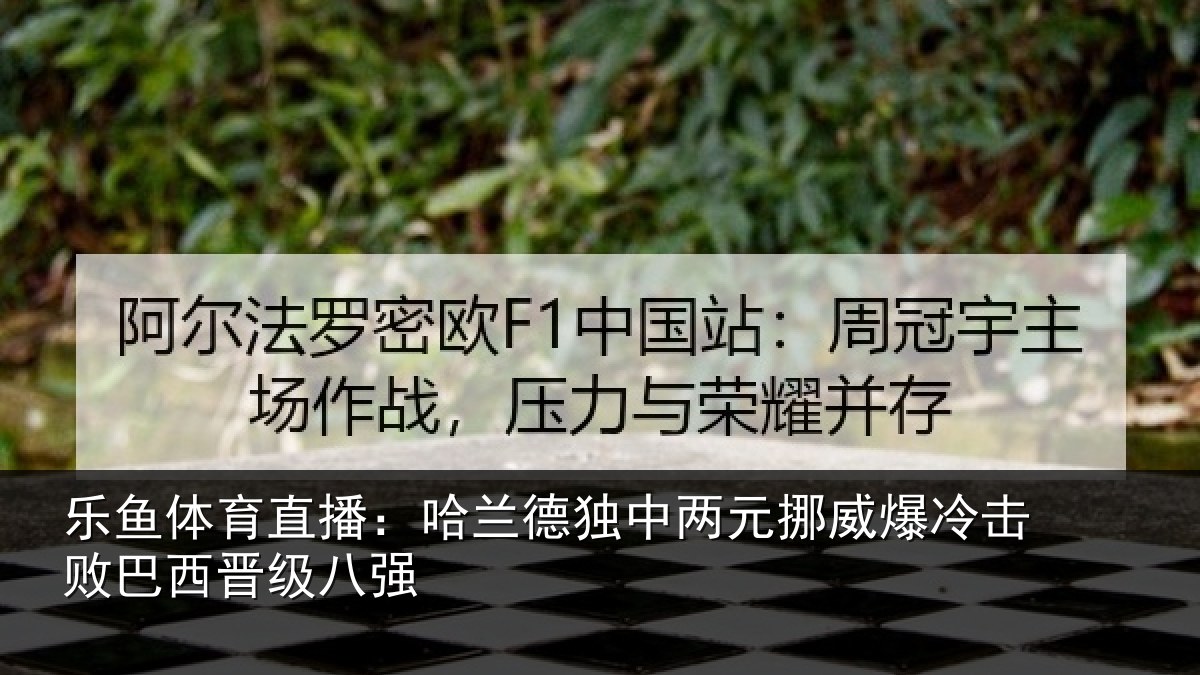 乐鱼体育直播：哈兰德独中两元挪威相关情况八强
