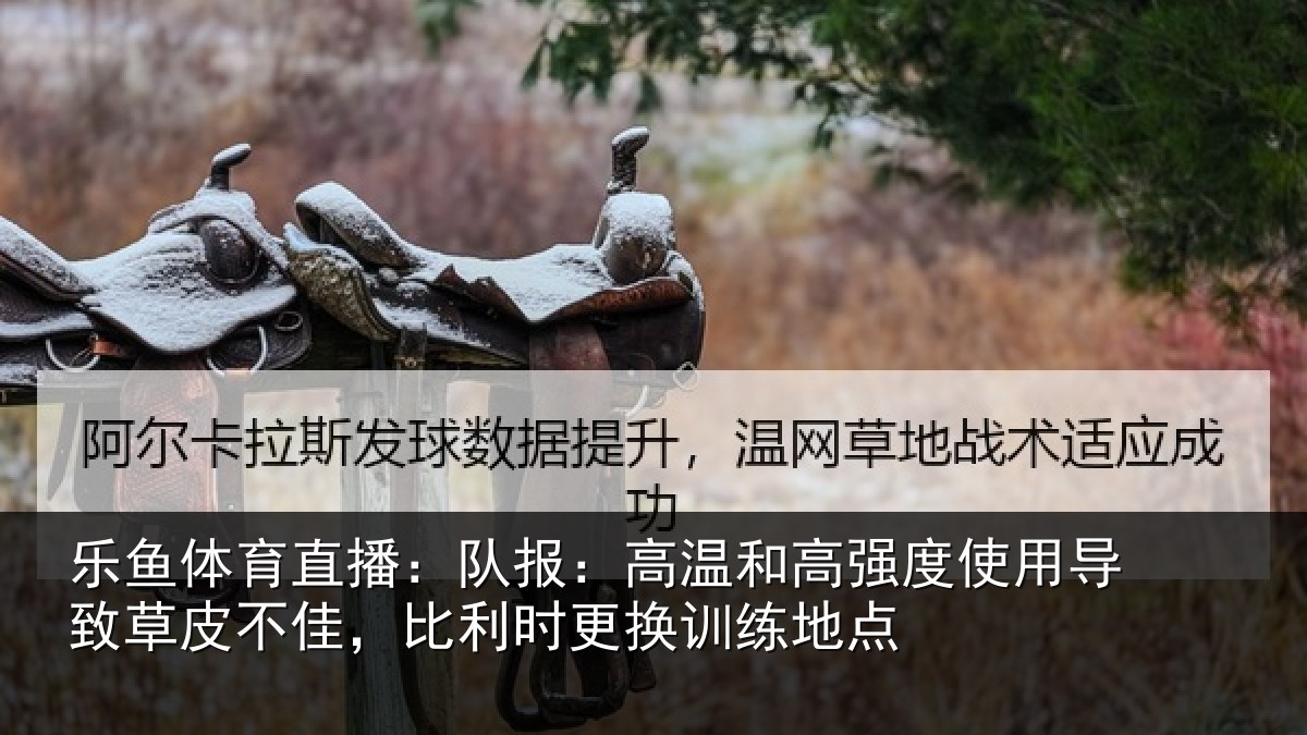 乐鱼体育直播：队报：高温和高强度使用导致草皮不佳，比利时更换训练地点