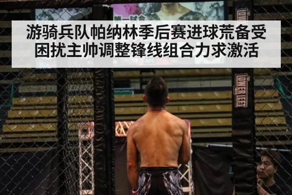 游骑兵队帕纳林季后赛进球荒备受困扰主帅调整锋线组合力求激活